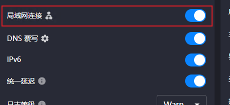 Clash Verge 设置局域网连接 Clash Verge 设置局域网连接