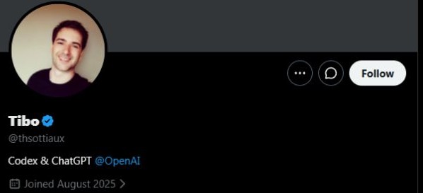Tibo 的真实 X 账号截图,简介标明负责 Codex 与 ChatGPT